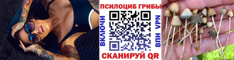 Галлюциногенные грибы ЛСД  Назрань 